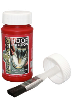 Huile Hoof Solution - Kevin Bacon's